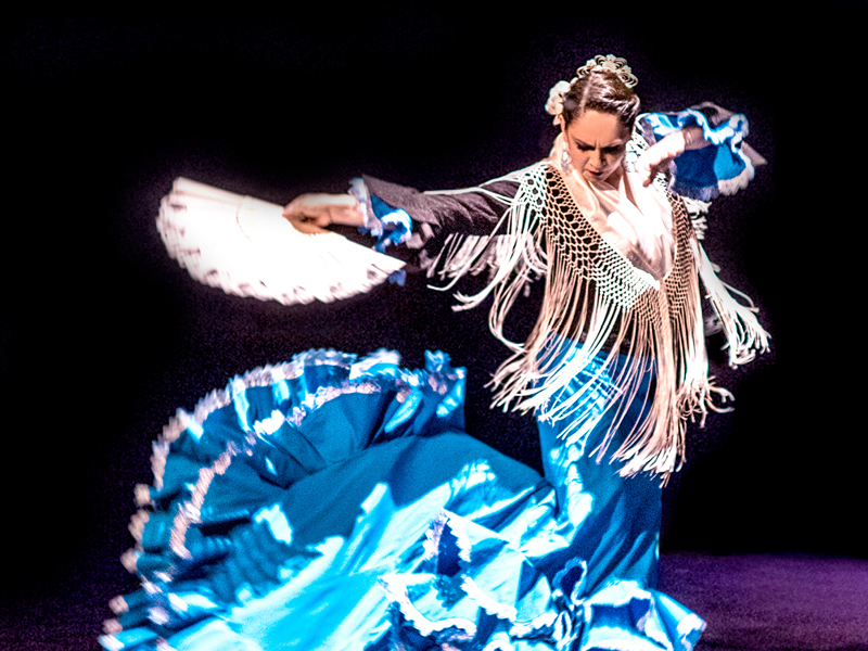 Flamenco Dance Performance