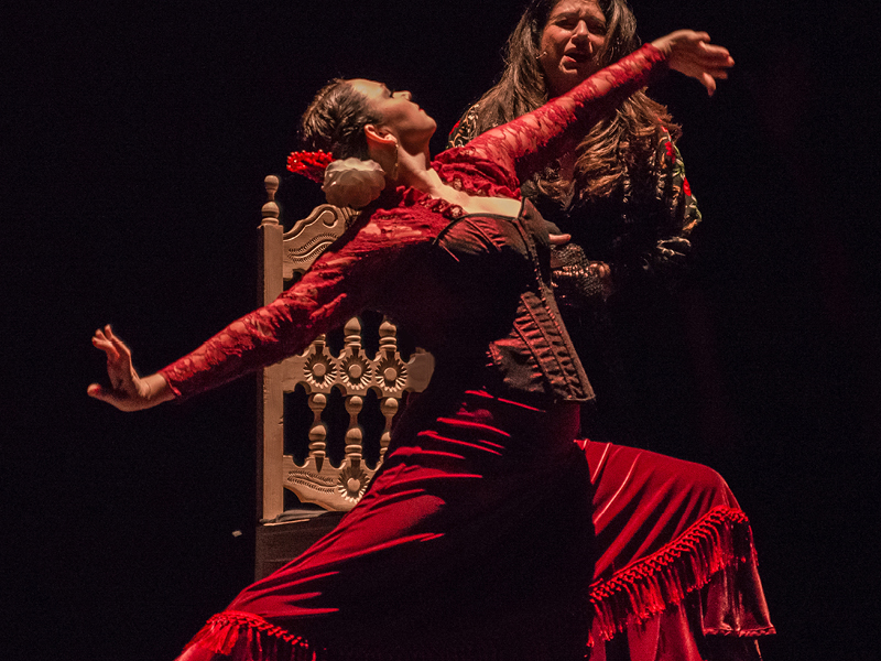 Flamenco Dance Performance